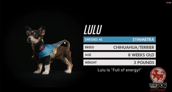 photo of Blizzard is streaming a puppy version of Overwatch on Twitch image