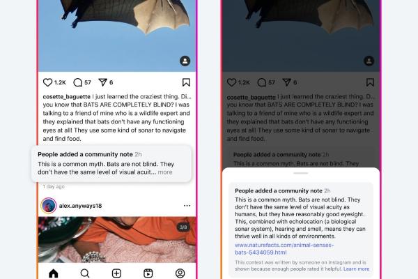 photo of Meta, Now Fact-Check Free, Is Testing X-Style Community Notes image