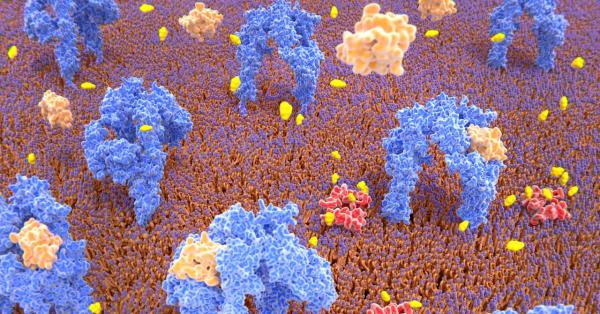 photo of Some Pancreatic Cells Are Just One Genetic Tweak Away From Treating Diabetes image