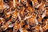 Bring on the AI swarms. They’re the…