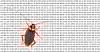 Microsoft update disarms Outlook and…
