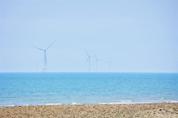 photo of Taiwan's green energy dilemma: businesses struggle amid surplus waste image