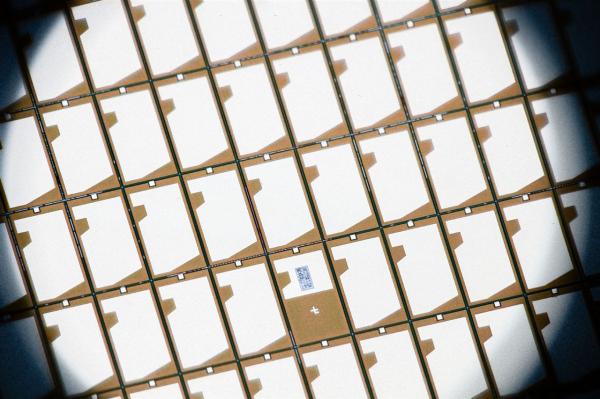 Wingtech Technology warns of first-half…