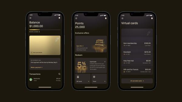 photo of Robinhood’s new Gold Card, BaaS challenges and the tiny startup that caught Stripe’s eye image