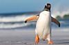 photo of Linus Torvalds says AI has made 'huge' Linux kernel updates the new normal image