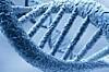 photo of Google DeepMind rises above the AI scrum with genome atlas image