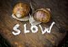 photo of 'It would be good for the world' to slow down AI sprints, Anthropic says image