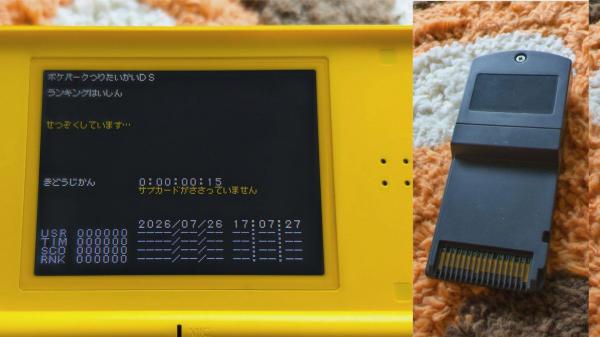 Lost one-of-a-kind Nintendo DS cartridge…