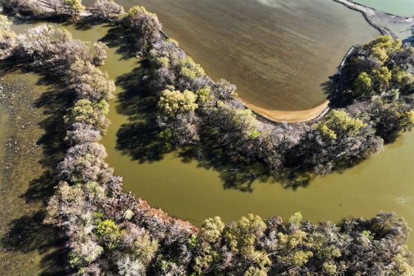 Apple expands clean energy and water&hellip;