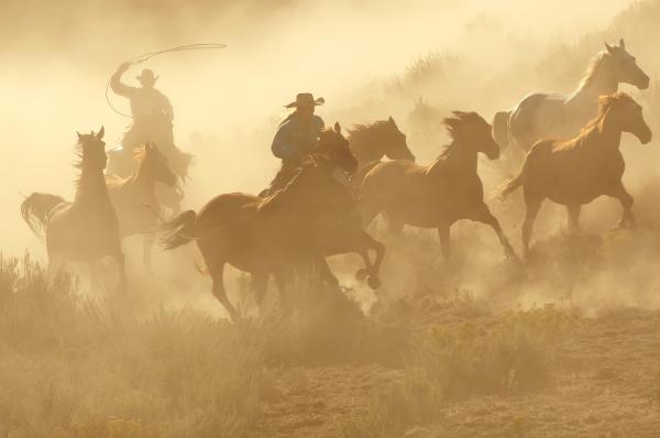 photo of How immutability tamed the Wild West image
