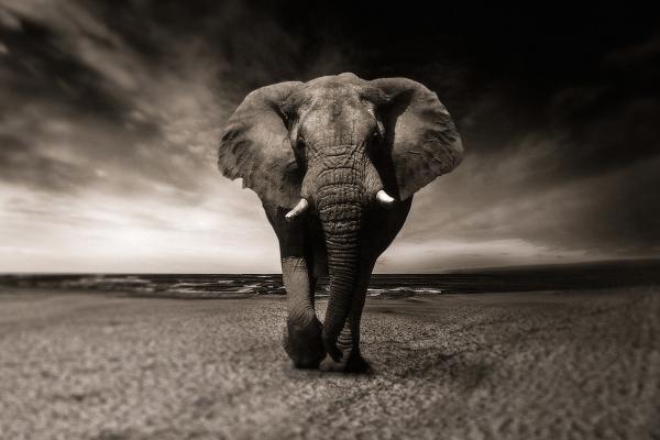 photo of The best new features in Postgres 18 image