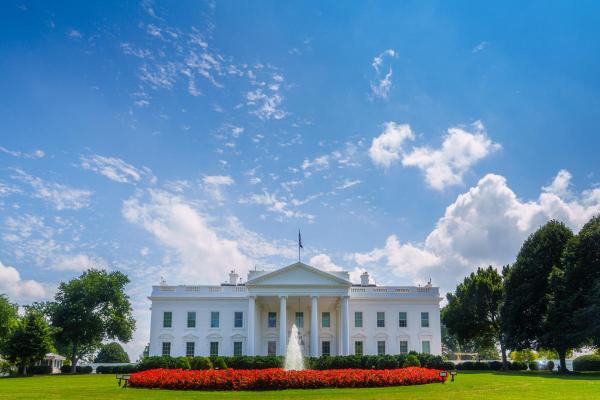 photo of White House gets voluntary commitments from AI companies to curb deepfake porn image