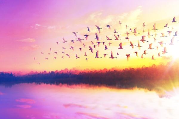 photo of New Databricks tool uses AI agents to rewrite legacy SQL at scale image