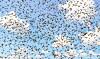 OpenAI's rebel agent swarm died young,&hellip;