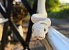 photo of CPython eases Rust requirements as assimilation continues image