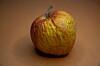 Apple buried Copland 30 years ago. Now…