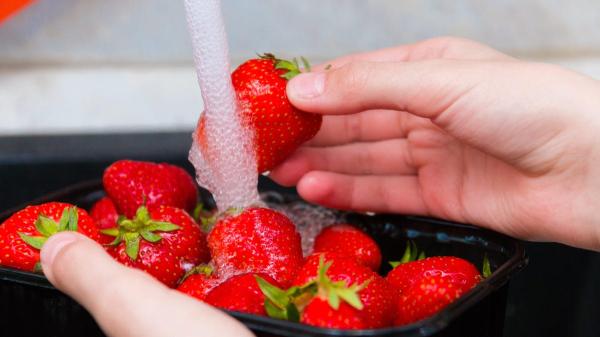 photo of Does Washing Produce Really Remove Pesticides? image