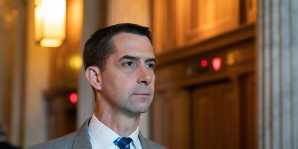 photo of Tom Cotton says Warriors co-owner should be forced to sell his stake in the NBA team following his comments that 'nobody… image
