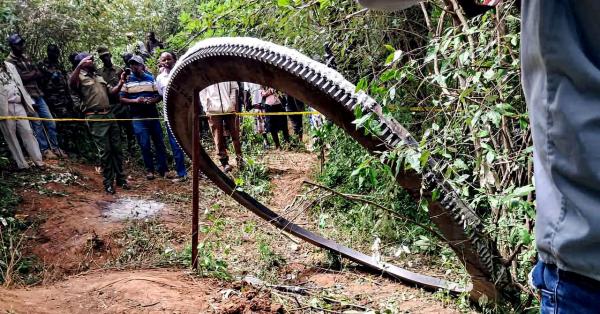 photo of A Glowing Metal Ring Crashed to Earth. No One Knows Where It Came From image