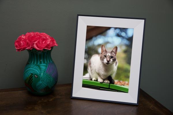 Aura’s delightful Aspen photo frame is on sale for $30 off&hellip;