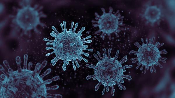 AI creates 16 new viruses that never&hellip;