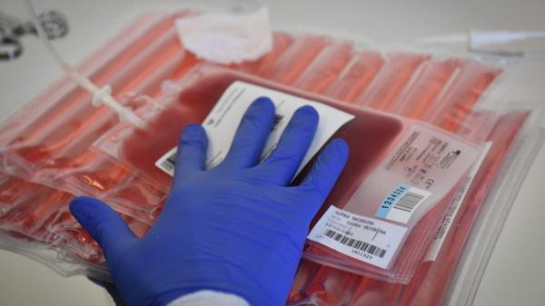 photo of Living Drugs Transformed Blood Cancer Treatment—and That’s Just the Beginning image