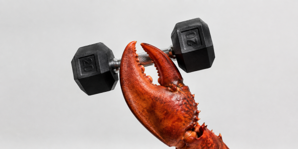 photo of Tech industry is buzzing after a Claude agent hacked into a gym image