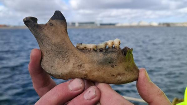 photo of Lost Warship From Battle of Copenhagen Found After 225 Years image