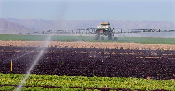 photo of California Can Slake the Thirst of Its Farms by Storing Water Underground image