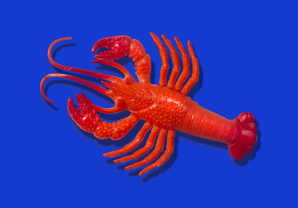 photo of OpenClaw creator Peter Steinberger joins OpenAI image