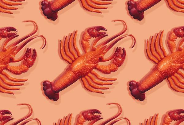 Everything you need to know about viral&hellip;