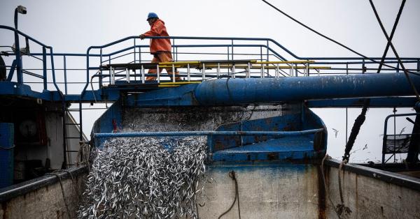 El Niño Is Already Wreaking Havoc on…