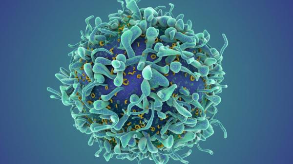 photo of A revolutionary cancer treatment could transform autoimmune disease image