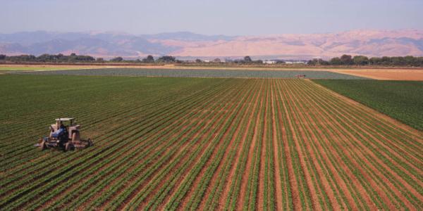 photo of Nitrogen-using bacteria can cut farms’ greenhouse gas emissions  image