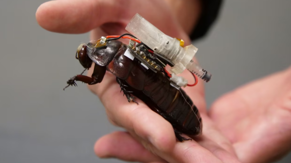 These cyborg cockroaches could be a…