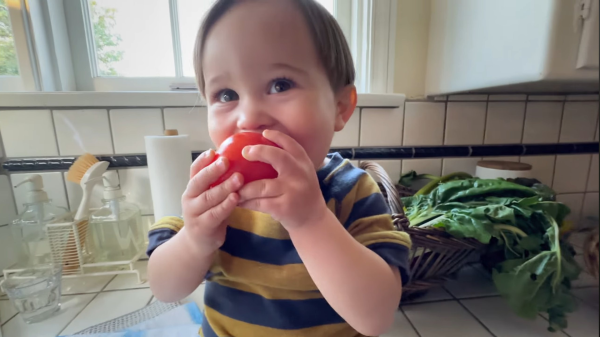 Google redeems Gemini after awkward&hellip;