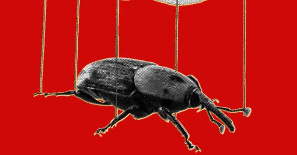 The PHP Meltdown Shows How AI Makes Bugs…