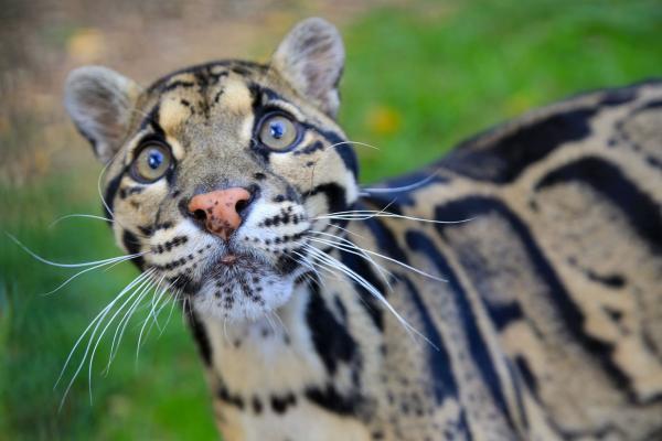 Nashville Zoo pushes back on 1.6-acre&hellip;