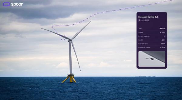 'Birds avoid turbines far more than&hellip;