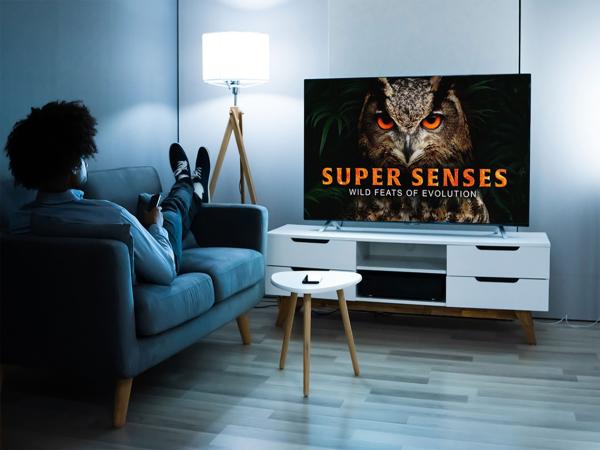 photo of Cut the noise and dive into history, science, and culture with MagellanTV image