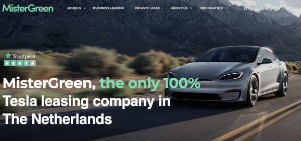 Tesla rental fleet that bought into Elon…