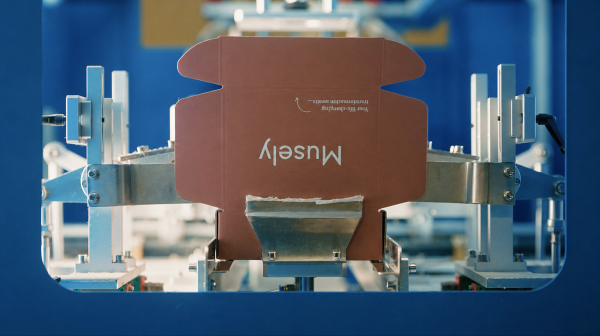 photo of Musely secures $360M from General Catalyst without giving up equity image