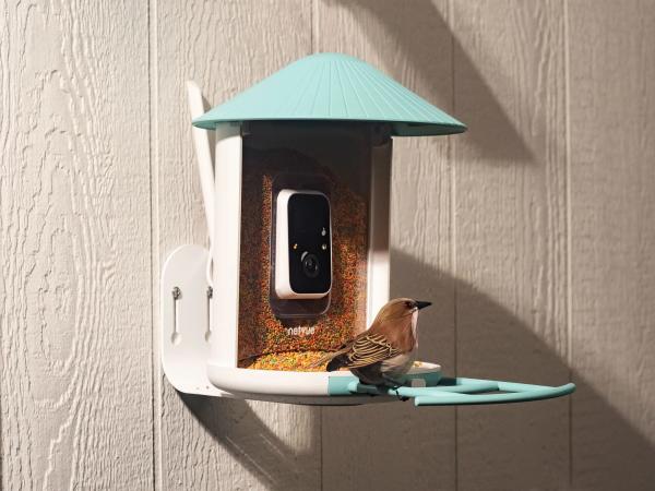 Birdfy’s solar-powered smart feeder is down to one of its…