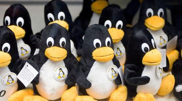 photo of CISA flags actively exploited ‘Copy Fail’ Linux kernel flaw enabling root takeover across major distros —&hellip; image