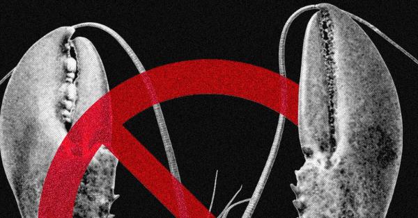 Meta and Other Tech Companies Ban&hellip;