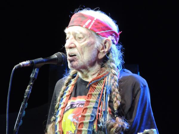 photo of This land belongs to you and me — even Willie Nelson is pushing back against data centers image