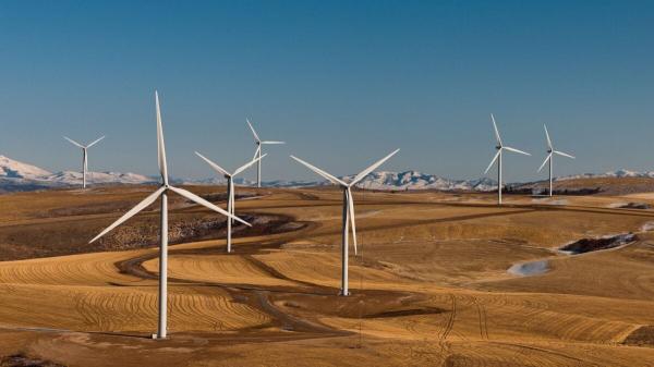 Trump Just Lost His War on Wind Energy