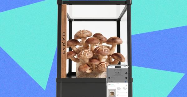 Lykyn Review: A Mushroom Garden Worth…