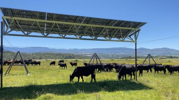 An Oregon cattle ranch just added solar&hellip;