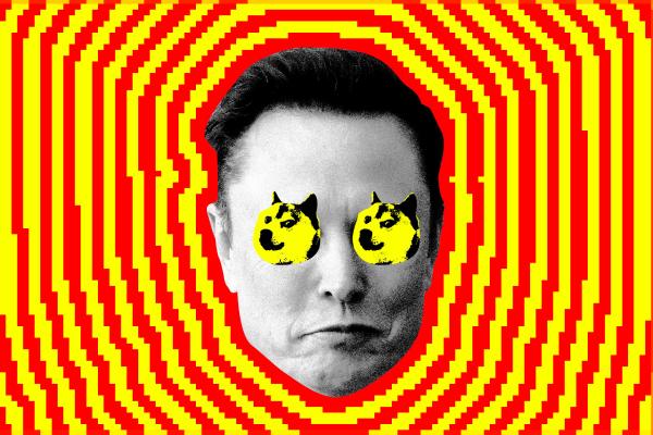 photo of House Democrats: DOGE is building a ‘master database’ of Americans’ sensitive information image